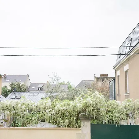 La Douce Angevine