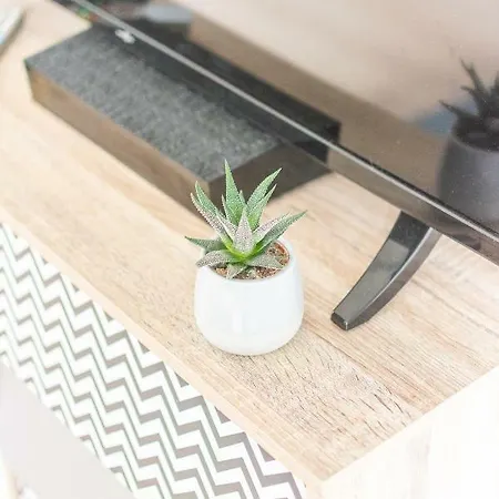 Apartment La Douce Angevine