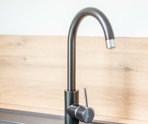 La Douce Angevine Appartement