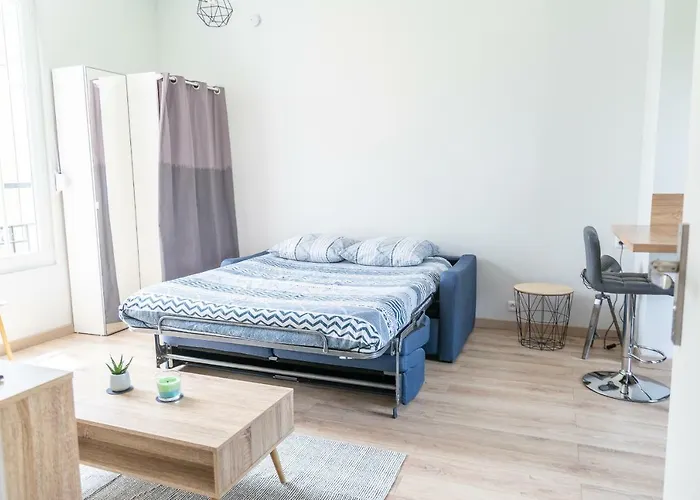 La Douce Angevine Appartement *